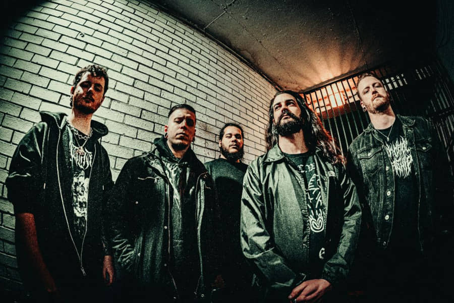 PERPETUAL PARADOX band