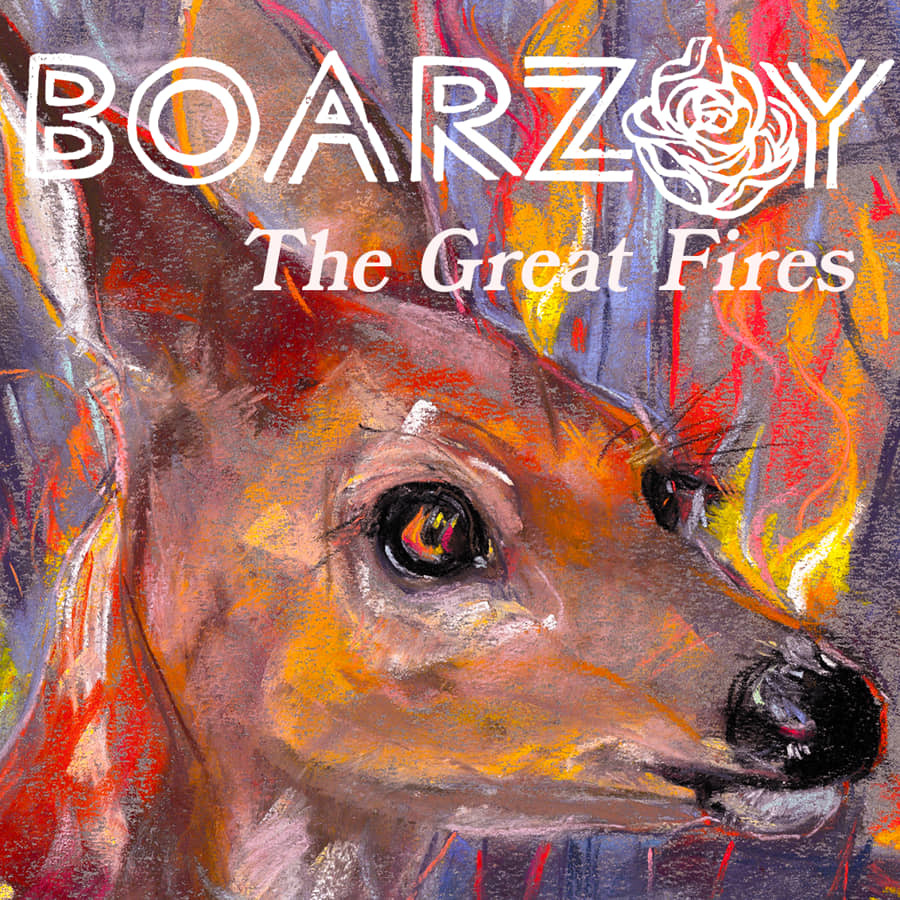 BOARZOY album2026