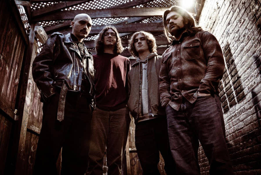 BOARZOY band
