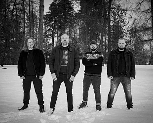 Vingulmork band