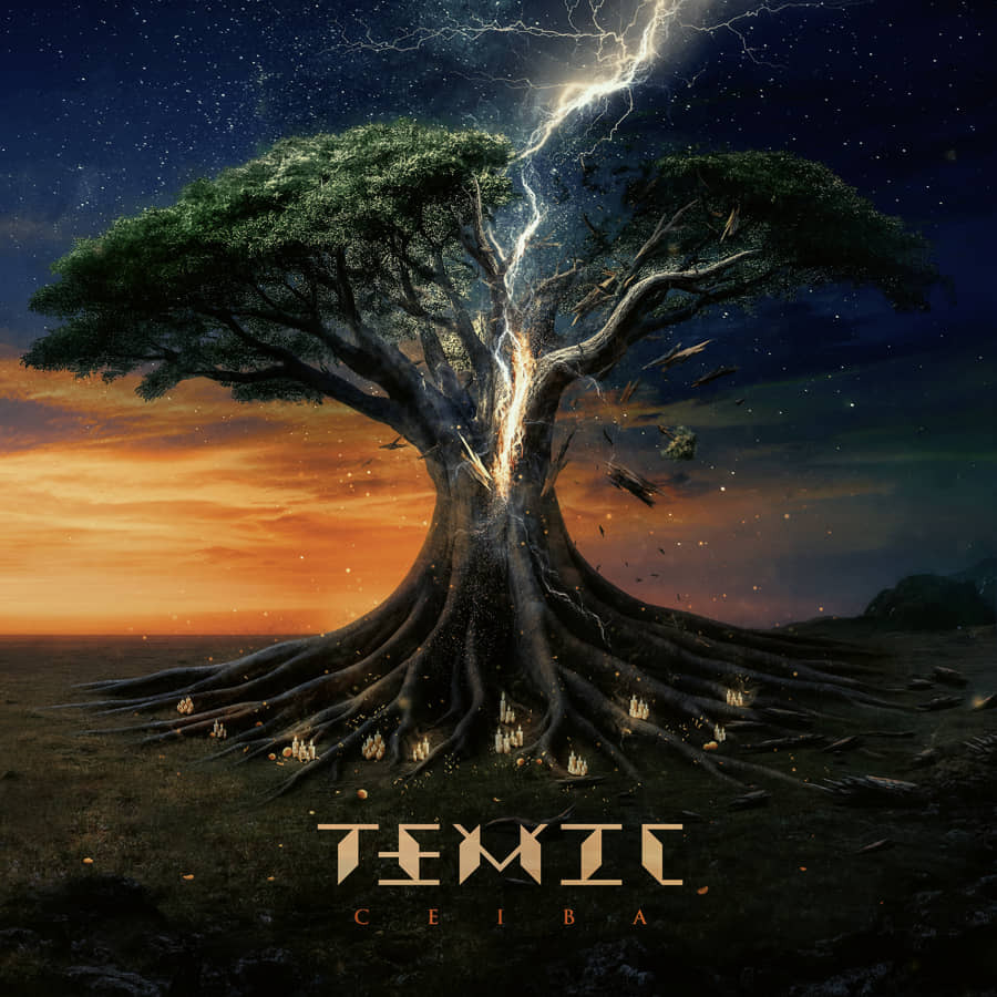 TEMIC album2026