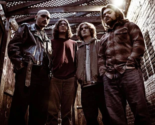 BOARZOY band