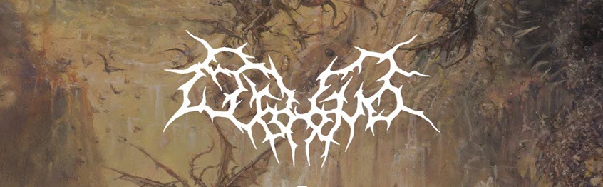 bufihimatband bufihimatband