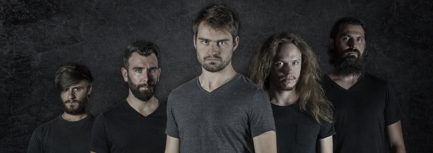 dysmorphicband dysmorphicband